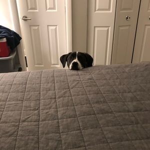 Meet your Posher, Timothy